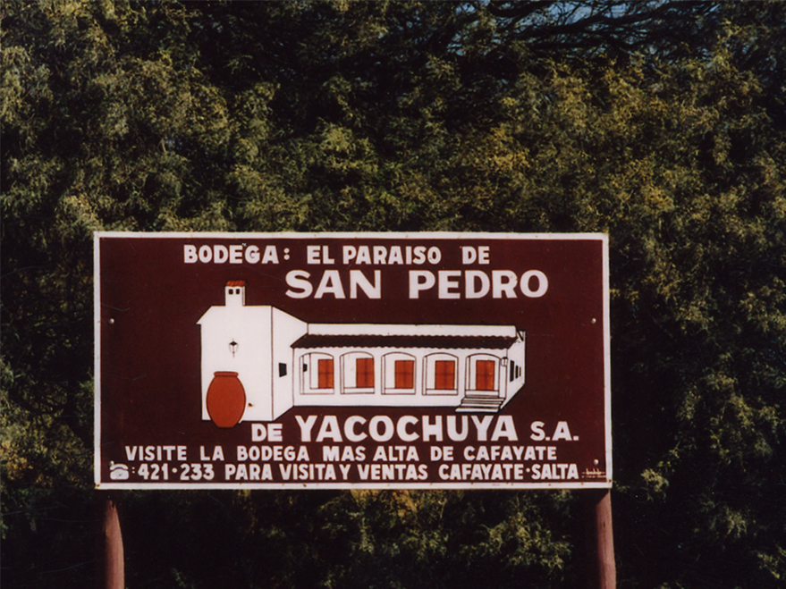San Pedro de Yacochuya 2019 - Rolland Collection